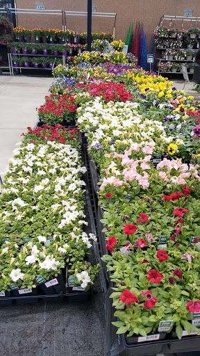 Discount Store «Walmart», reviews and photos, 12200 River Ridge Blvd, Burnsville, MN 55337, USA