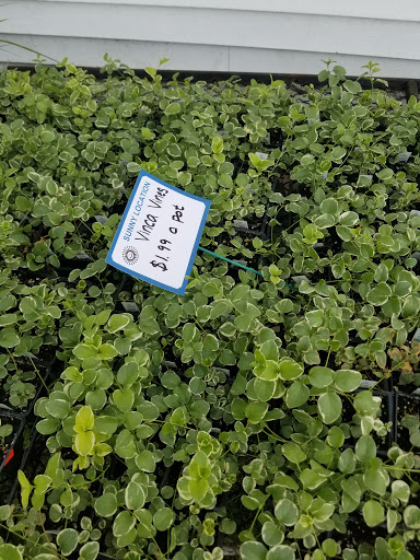 Florist «Lyndhurst Florist», reviews and photos, 5268 Mayfield Rd, Lyndhurst, OH 44124, USA