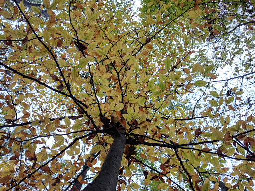 Park «Sodalis Nature Park», reviews and photos, 7700 S County Rd 975 E, Plainfield, IN 46168, USA