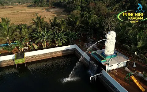 Musical Dancing Fountain Manissery, Ottapalam image