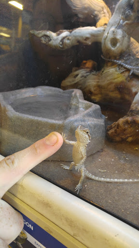 Pet Supply Store «PetSmart», reviews and photos, 11134 Parkside Dr, Knoxville, TN 37934, USA