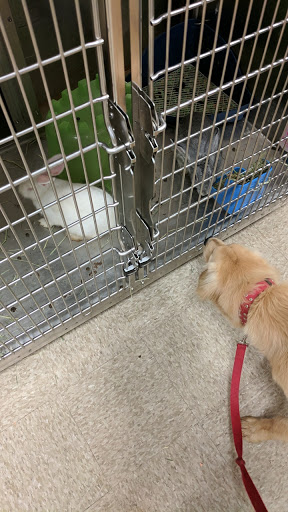 Pet Supply Store «PetSmart», reviews and photos, 971 Norland Ave, Chambersburg, PA 17201, USA