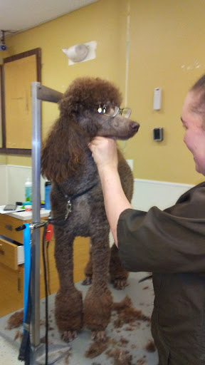 Pet Supply Store «Petco Animal Supplies», reviews and photos, 1207 S Caraway Rd, Jonesboro, AR 72401, USA