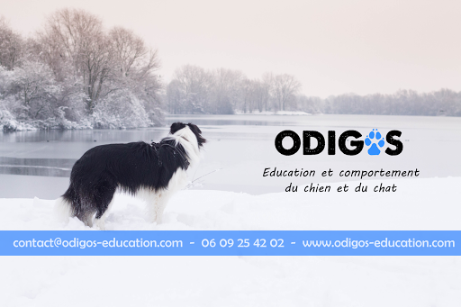 ODIGOS - Education et comportement canin et félin