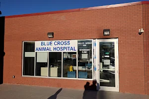 Blue Cross Animal Hospital image