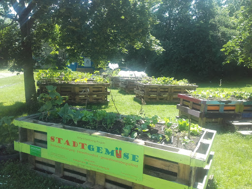 Urban Gardening 