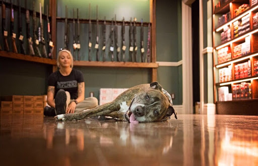 Gun Shop «Adaptive Shooting Sports», reviews and photos, 592 NY-22 #2a, Pawling, NY 12564, USA