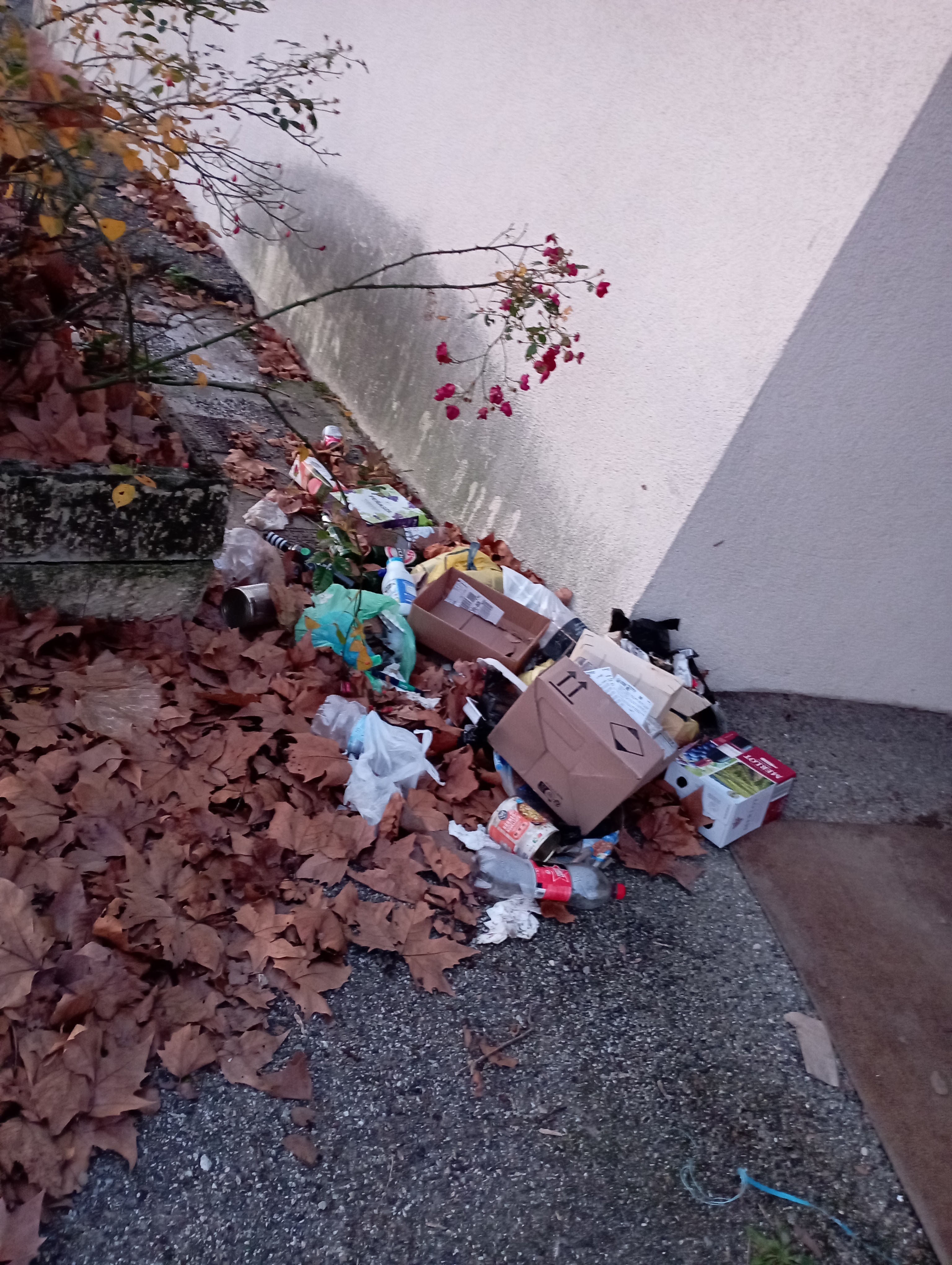 Photo n° 1 de l'avis de Corinne.r fait le 27/12/2023 à 07:31