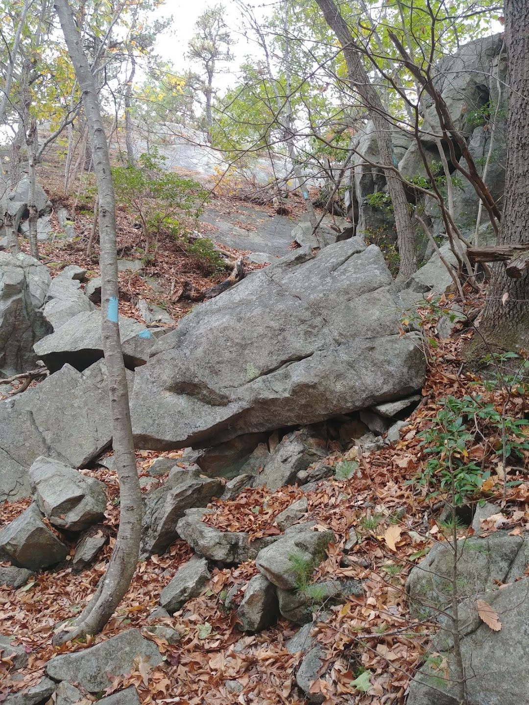 Whitestone Cliffs Trail