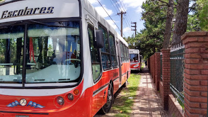 Transporte Escolar - Viajes - Traslados - Gustavo