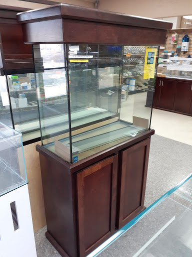 Aquarium Shop «Aquarium Arts», reviews and photos, 1810 W Baseline Rd #1, Mesa, AZ 85202, USA