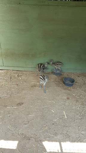 Zoo «Catoctin Wildlife Preserve and Zoo», reviews and photos, 13019 Catoctin Furnace Rd, Thurmont, MD 21788, USA