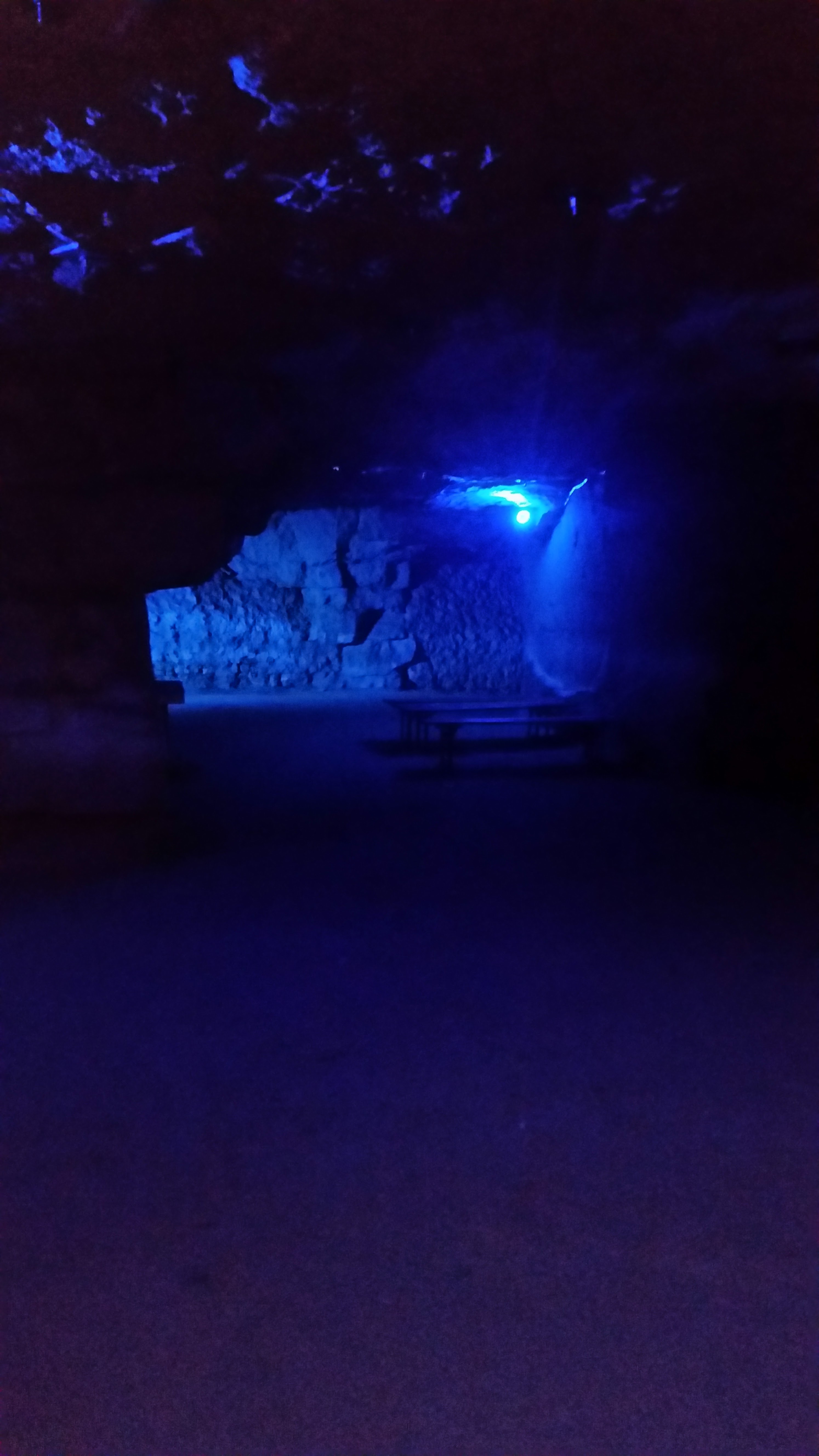 Photo n° 2 de l'avis de Gwenaelle.a fait le 26/09/2018 à 09:25