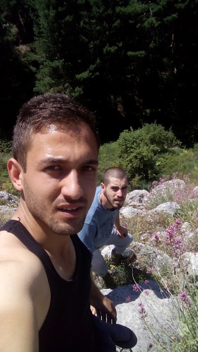 Photos of Ay Kayası Mesire Alanı
