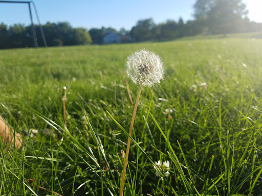 Park «Meadows Park», reviews and photos, East Ave, Streamwood, IL 60107, USA