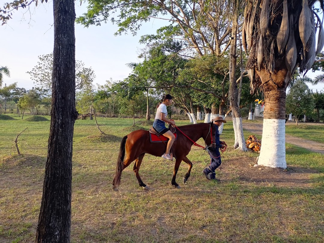 El Mesón Campestre