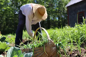 Village Historique Acadien image