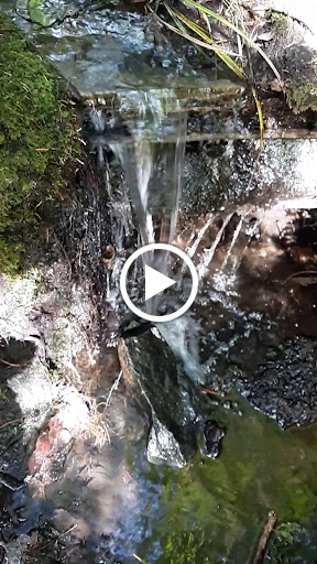 Park «Ravenna Park», reviews and photos, 5520 Ravenna Ave NE, Seattle, WA 98105, USA