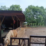 Photo n°4 de l'avis de Armando. fait le 03/08/2023 à 19:35 sur le  Agriturismo Fattoria Pasqué à Casale Litta