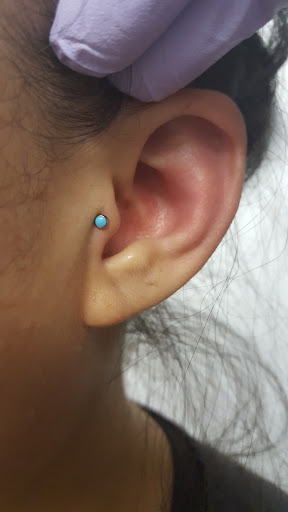 Explore tattoo ideas horses, creative tattoo ideas in Washington, available at Fattys Tattoos & Piercings Dupont Circle