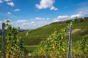 Wein Panorama Weg image