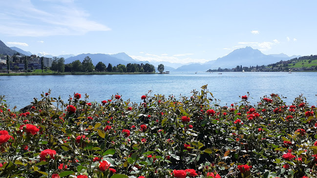 Monséjour, Zentrum am See - Küssnacht SZ