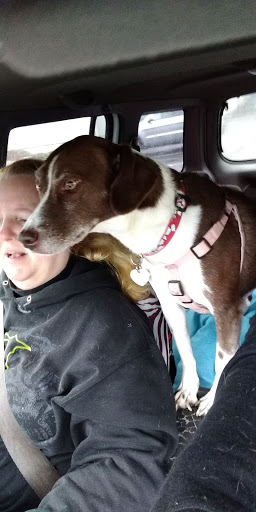 Pet Supply Store «Mini Pet Mart», reviews and photos, 1450 NE Hwy 101, Lincoln City, OR 97367, USA