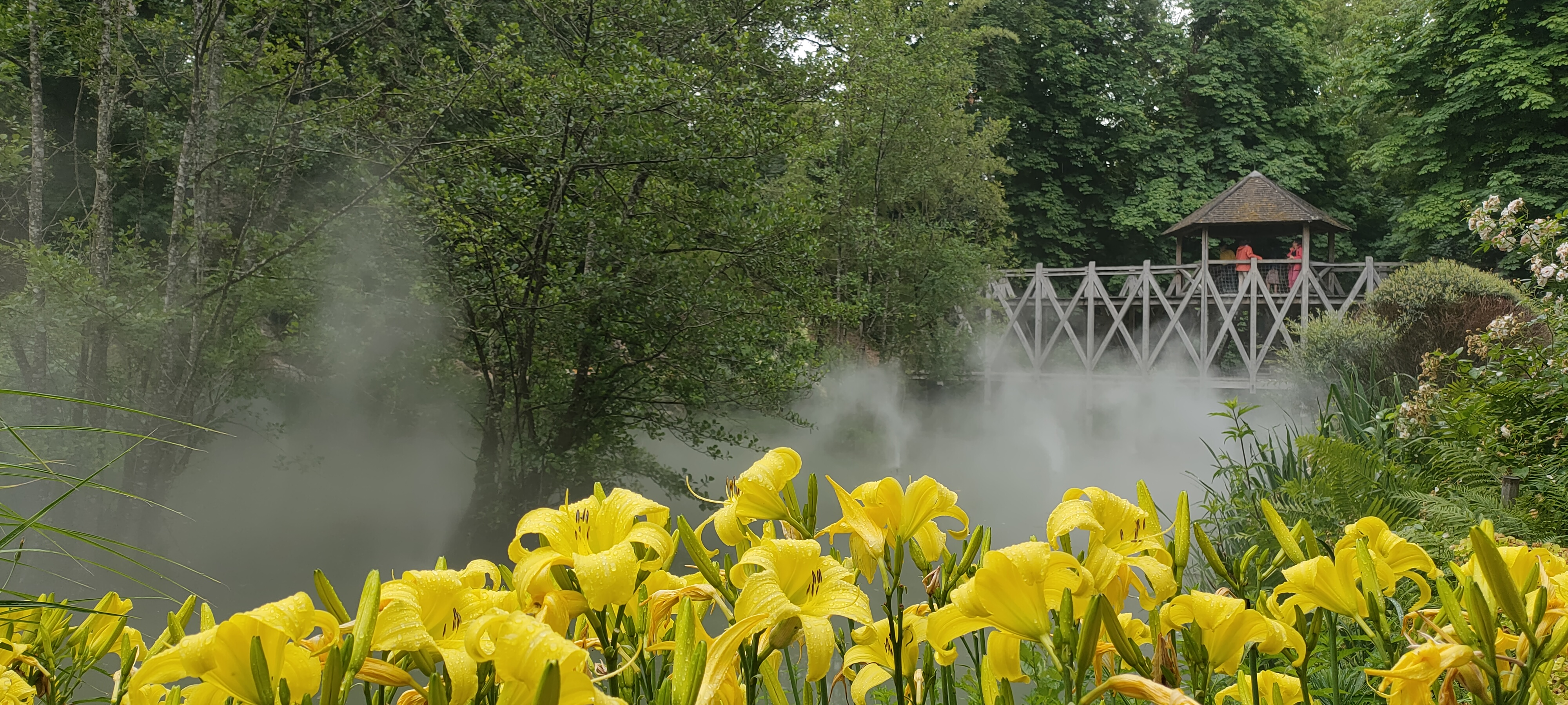 Photo n° 8 de l'avis de Isabelle.e fait le 23/06/2023 à 08:38