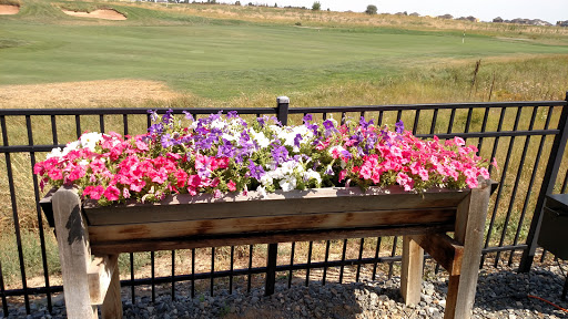 Golf Course «Buffalo Run Golf Course», reviews and photos, 15700 E 112th Ave, Commerce City, CO 80022, USA