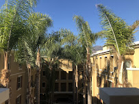 Santiago's Landscape & Tree Services - Photo 6 - Car repair in Altadena, CA, Glendale