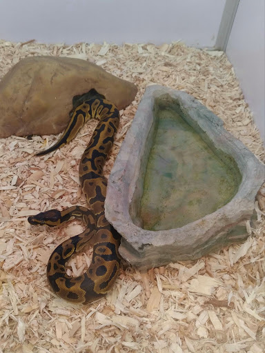 Pet Supply Store «Pet Supermarket, Inc.», reviews and photos, 598 N McCarran Blvd, Sparks, NV 89431, USA