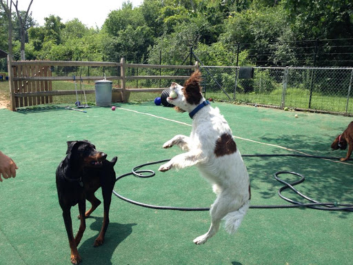 Dog Day Care Center «Dog Days Daycare Center», reviews and photos, 281 Roycefield Rd, Hillsborough Township, NJ 08844, USA