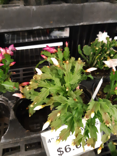 Animal Feed Store «Wilco Farm Store», reviews and photos, 815 W Main St, Battle Ground, WA 98604, USA