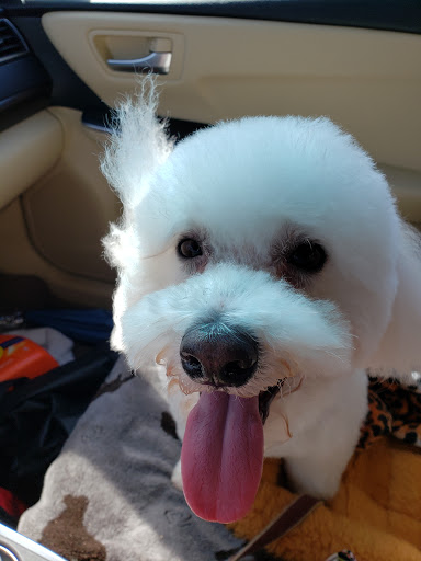 Pet Supply Store «Care-A-Lot Pet Supply», reviews and photos, 1924 Diamond Springs Rd, Virginia Beach, VA 23455, USA