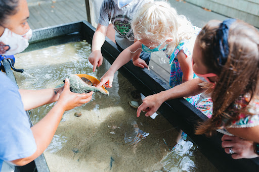 Aquarium «Maria Mitchell Aquarium», reviews and photos, 28 Washington St, Nantucket, MA 02554, USA