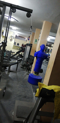 Balarezo Gym - Paita