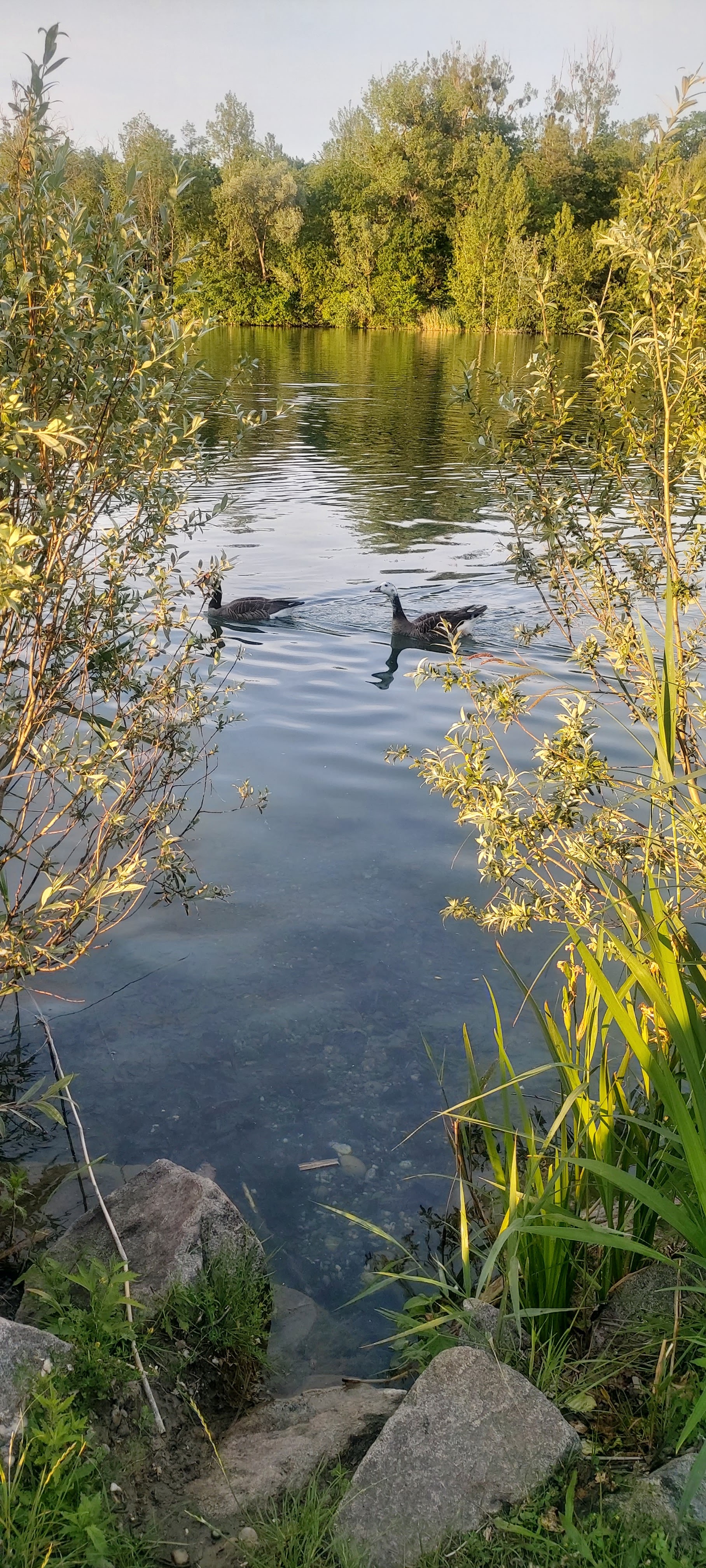 Photo n° 3 de l'avis de Wen.a fait le 16/06/2021 à 21:42
