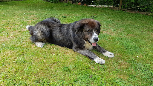 Barbe Global PetLebensmittel Inh.Cornelia Barbe unter Wanzleben-Börde, 