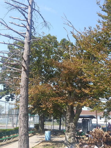 Park «Centennial Park», reviews and photos, 1 E Centennial Ave, Roosevelt, NY 11575, USA