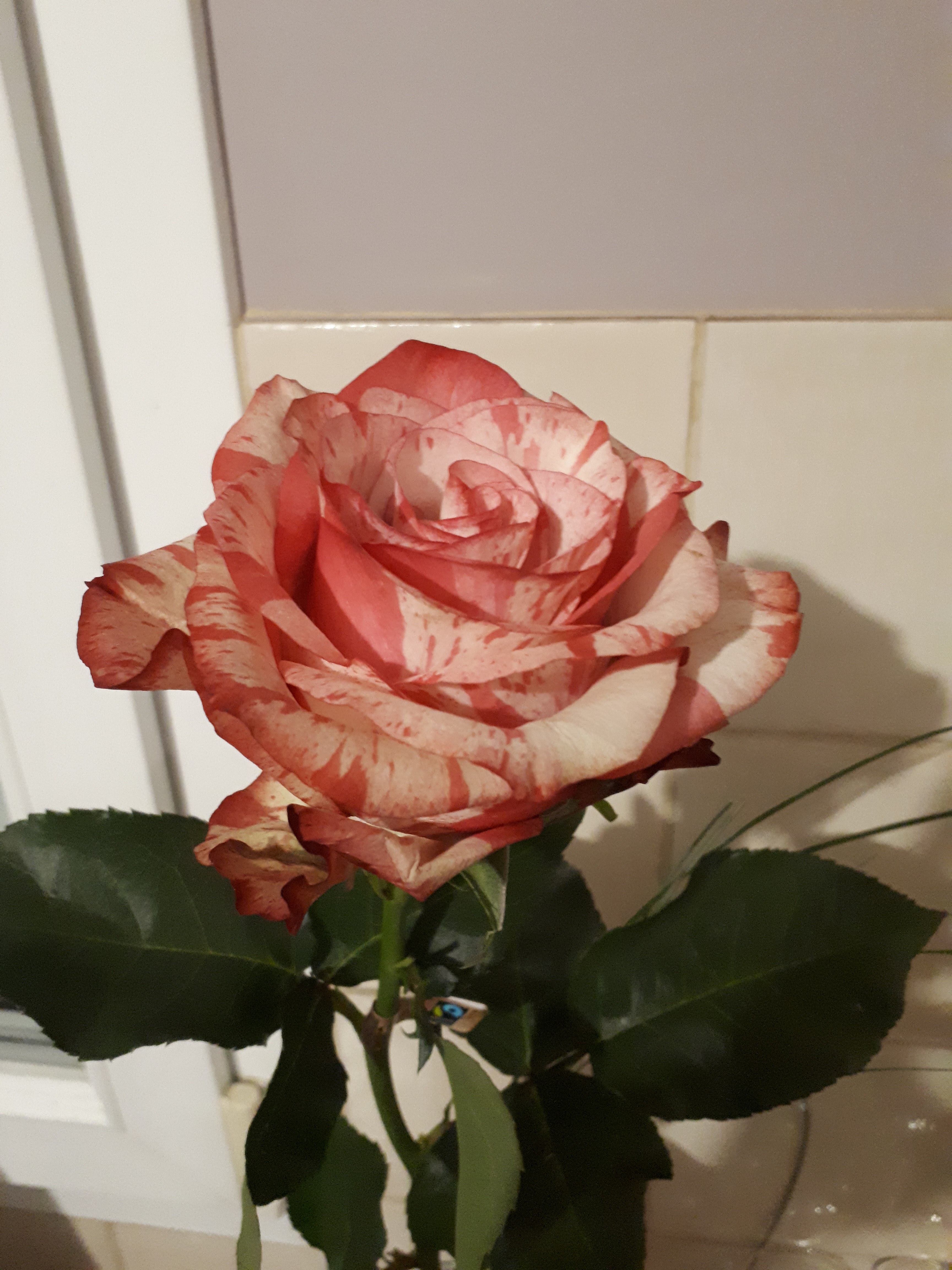 Photo n° 2 de l'avis de Mathieu. fait le 14/02/2019 à 20:21