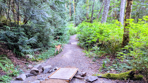 Nature Preserve «Illahee Preserve», reviews and photos, 3200 NE Riddell Rd, Bremerton, WA 98310, USA