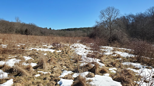 History Museum «Eustis Estate Museum and Study Center», reviews and photos, 1424 Canton Ave, Milton, MA 02186, USA