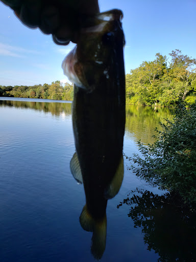 Park «Post Park», reviews and photos, 451 Unqua Rd, Massapequa Park, NY 11762, USA