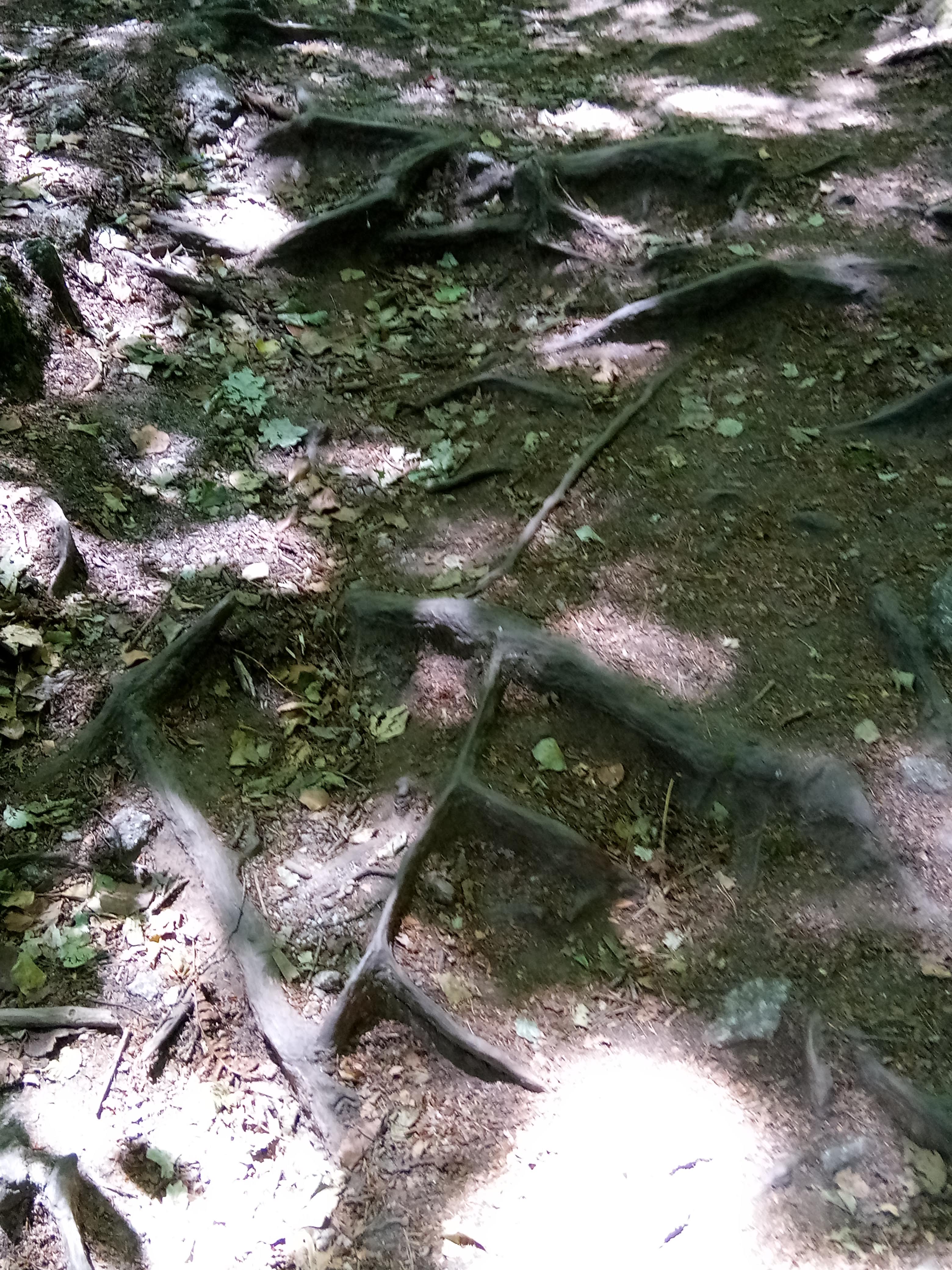 Photo n° 14 de l'avis de Christophe.n fait le 09/07/2018 à 16:57