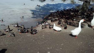 Baldridge Park - photo 97