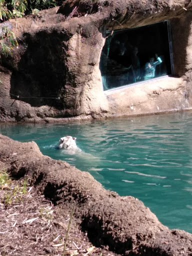 Zoo «Memphis Zoo», reviews and photos, 2000 Prentiss Pl, Memphis, TN 38112, USA