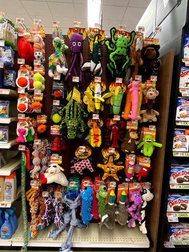 Supermarket «Big Y», reviews and photos, 401 Bridgeport Ave, Shelton, CT 06484, USA