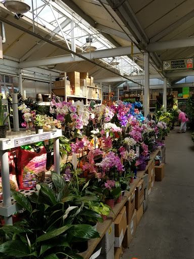 Home Improvement Store «The Home Depot», reviews and photos, 3838 Hollis Avenue, Emeryville, CA 94608, USA