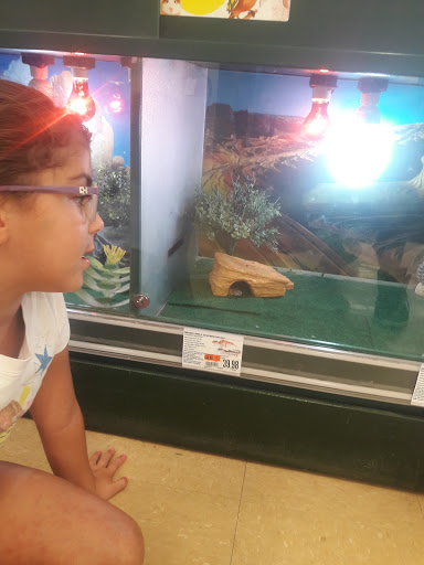 Pet Supply Store «Pet Supplies Plus», reviews and photos, 175 Memorial Ave, West Springfield, MA 01089, USA