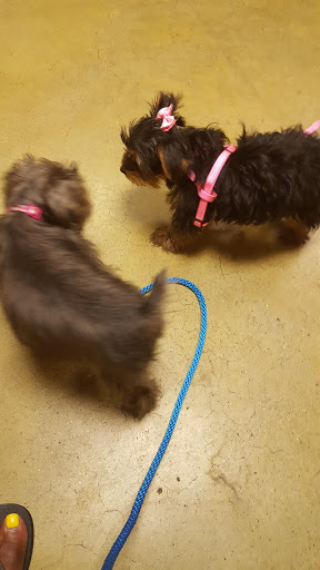 Pet Supply Store «PetSmart», reviews and photos, 187 Millburn Ave, Millburn, NJ 07041, USA